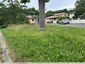 Une station d'orchis pyramidal